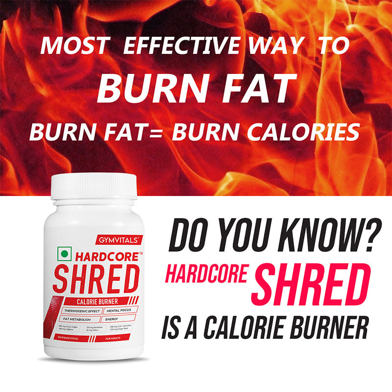 Gymvitals Hardcore Shred Calorie Burner with 400mg Green Coffee Bean, 500mg CLA & L-Carnitine, 100mg Dandelion, 250mg Ginger Root - 90 veg capsules