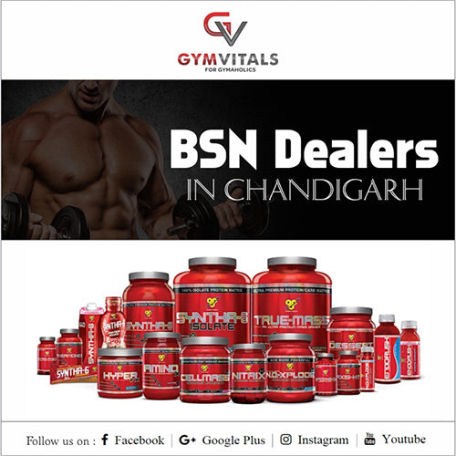 BSN Dealers In Chandigarh