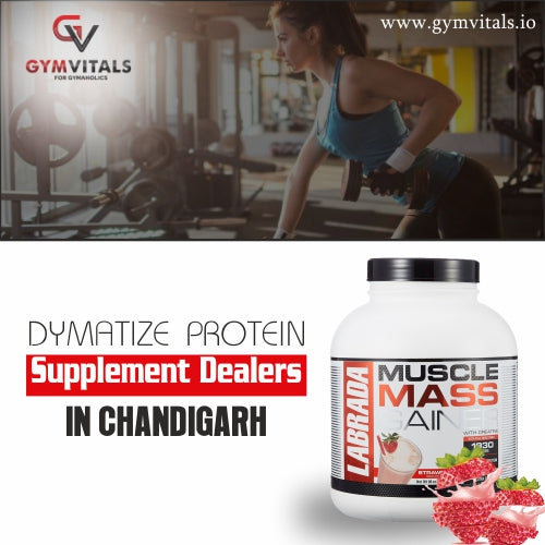 Dymatize Protein Supplement Dealers In Chandigarh