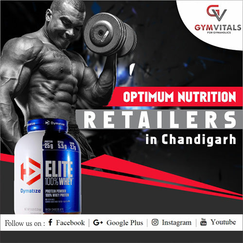 Optimum Nutrition Retailers In Chandigarh