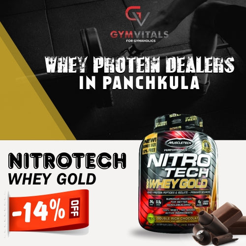 Whey Protein Dealers In Panchkula